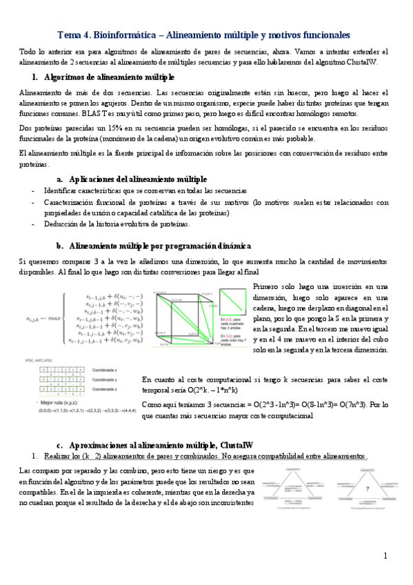 Miniatura del documento Tema-4.-Bioinformatica-Alineamiento-multiple-y-motivos-funcionales.pdf