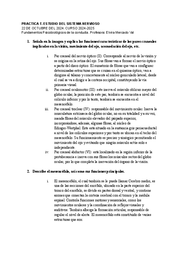 Miniatura del documento PRACTICA-7.-ESTUDIO-DEL-SISTEMA-NERVIOSO.pdf