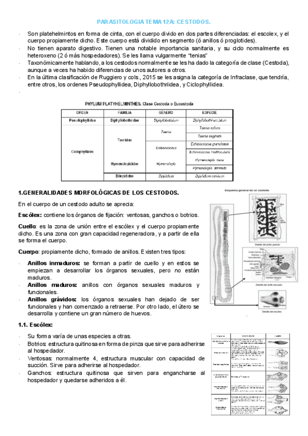 Miniatura del documento TEMA-12A-GENERALIDADES-DE-CESTODOS.pdf