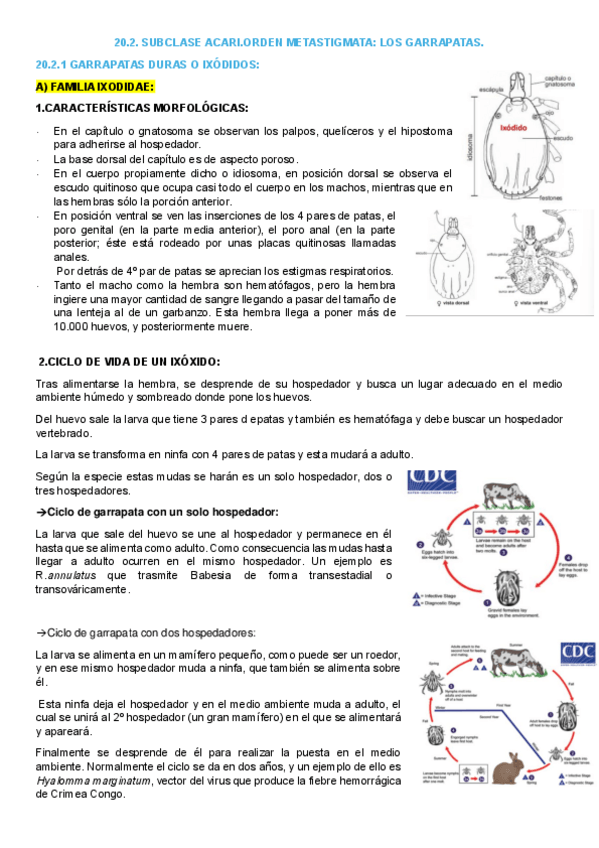 Miniatura del documento 20.2.-ORDEN-METASTIGMATA-LAS-GARRAPATAS.pdf