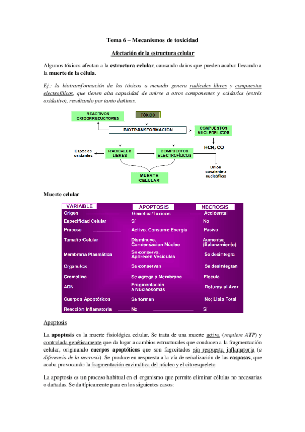Miniatura del documento Tema 6 - Mecanismos de toxicidad.pdf