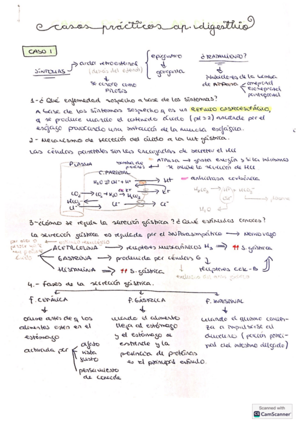 Miniatura del documento Casos-clinicos-Ap.-Digestivo.pdf