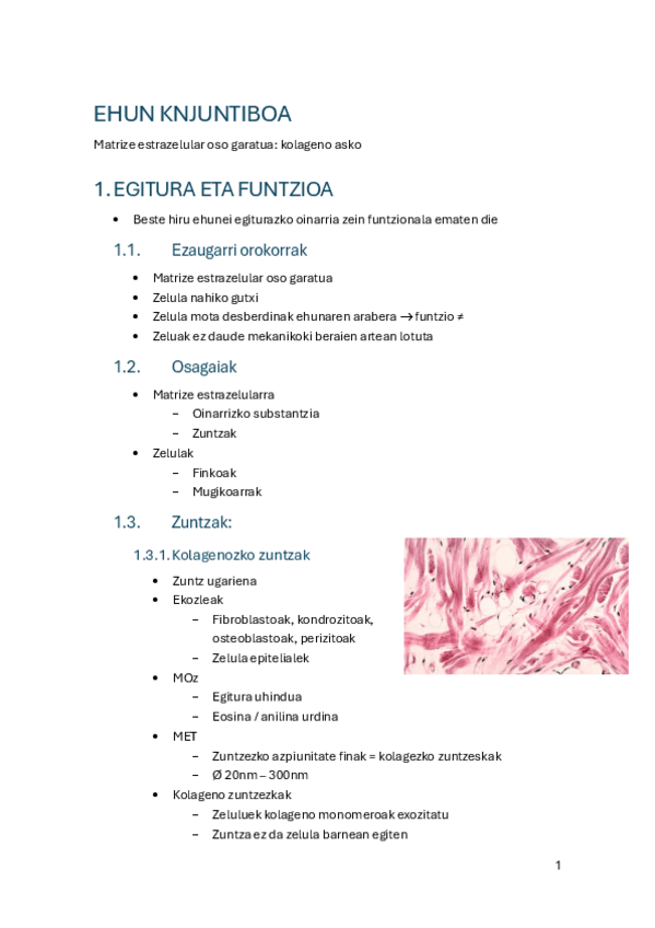 Miniatura del documento 13.-Ehun-konjuntiboa.pdf