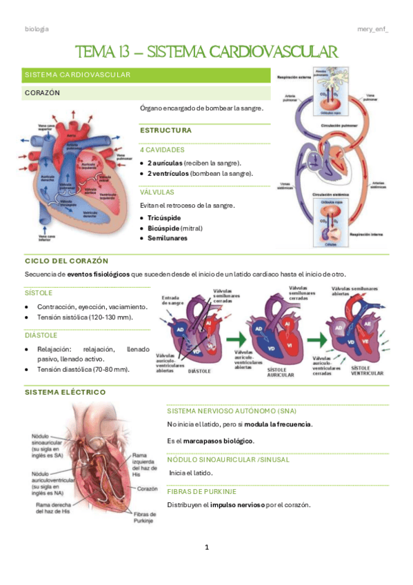 Miniatura del documento t-13-biologia.pdf