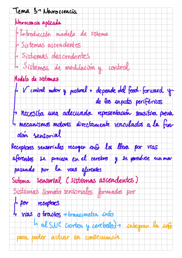 Miniatura del documento TEMA-3-NEUROCIENCIA.pdf