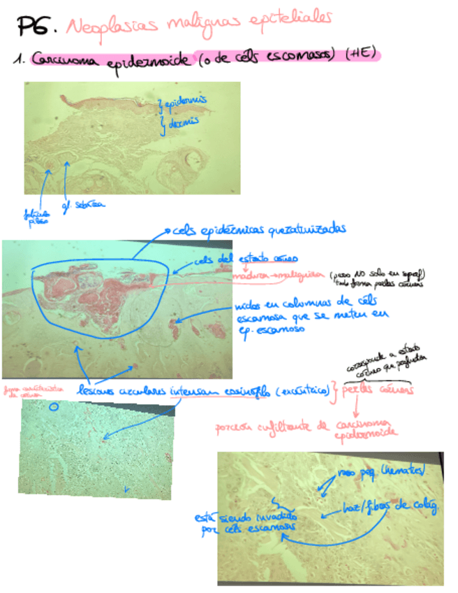 Miniatura del documento Practica-6-MOAPG.pdf