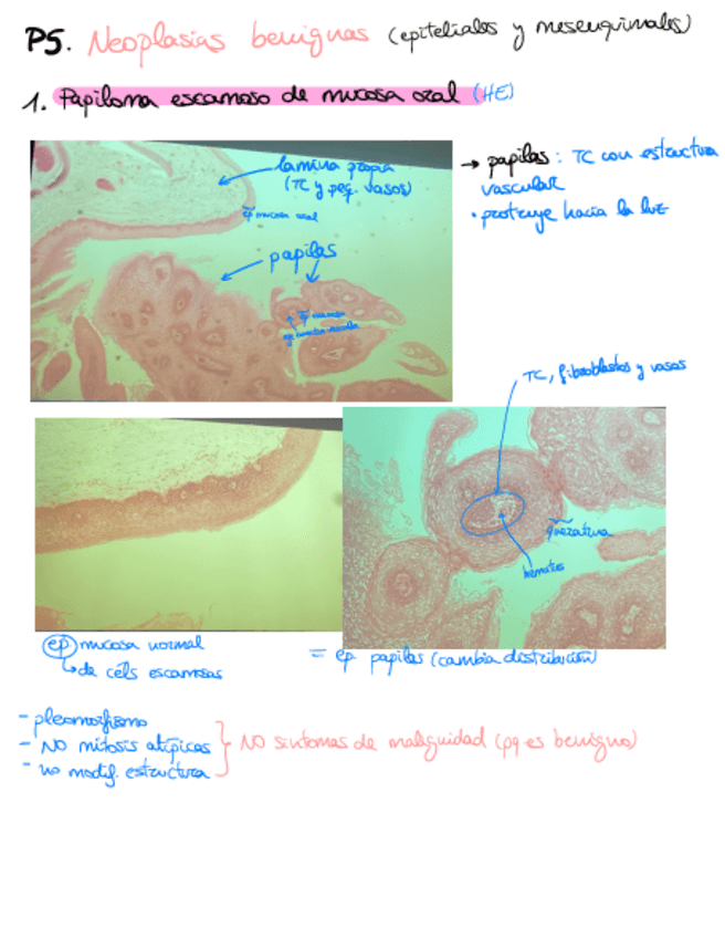 Miniatura del documento Practica-5-MOAPG.pdf
