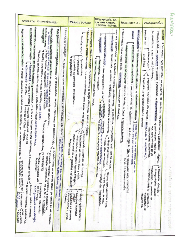Miniatura del documento 4.2-Tabla-de-fitohormonas-segundo-parcial.pdf