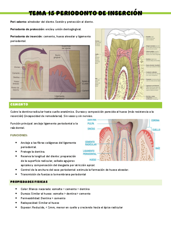Miniatura del documento HISTOLOGIA-T15.pdf