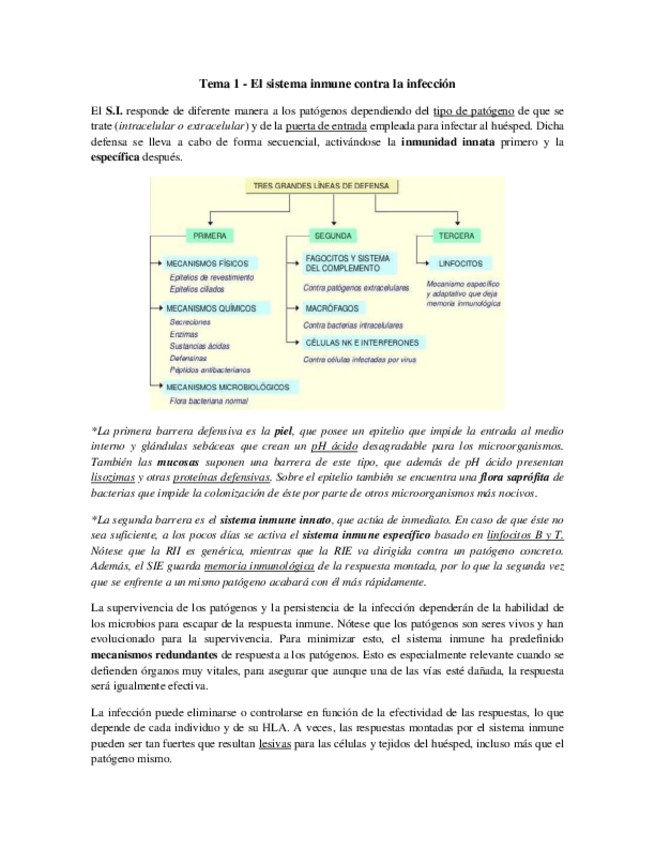 Miniatura del documento Tema 1 - Introduccion.pdf