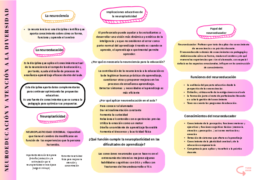 Miniatura del documento Neuroeducacion.pdf