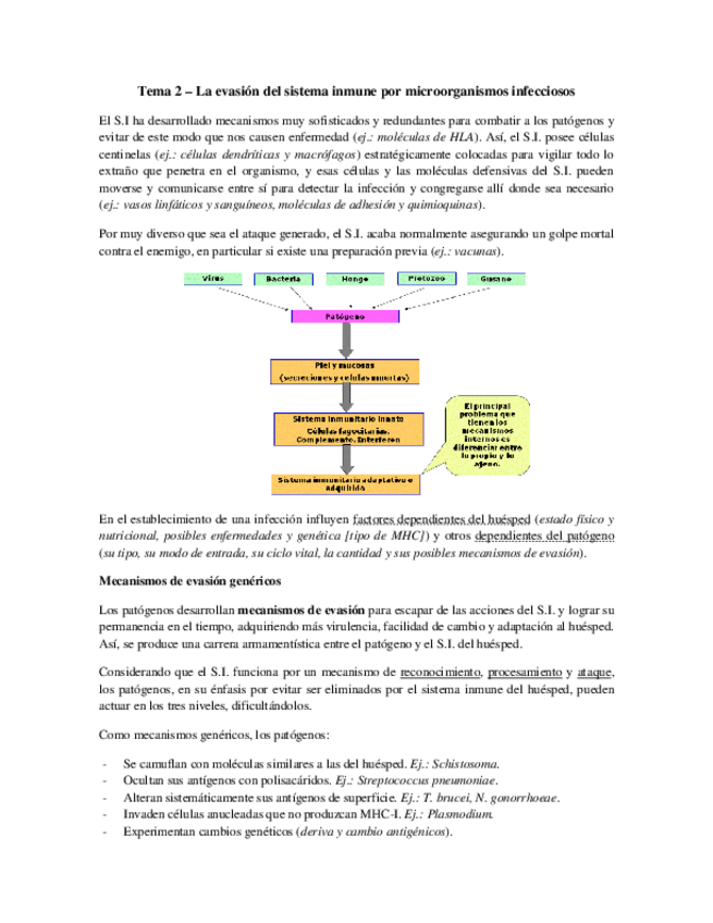 Miniatura del documento Tema 2 - Evasión del SI.pdf