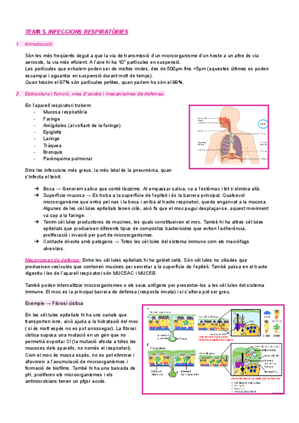 Miniatura del documento TEMA-5-MC.pdf