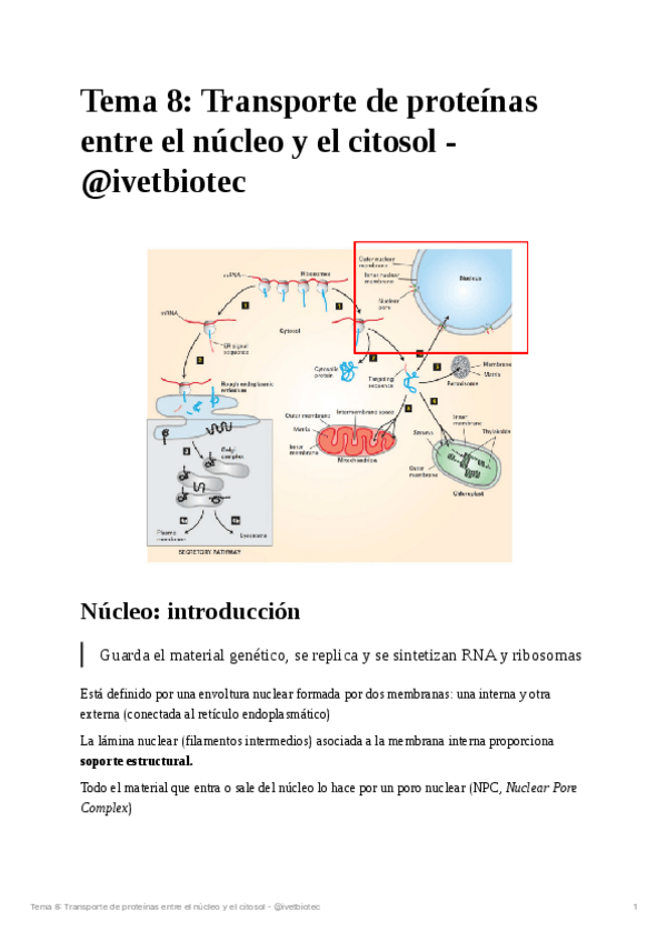 Miniatura del documento Tema-8Biologia-cellular.pdf