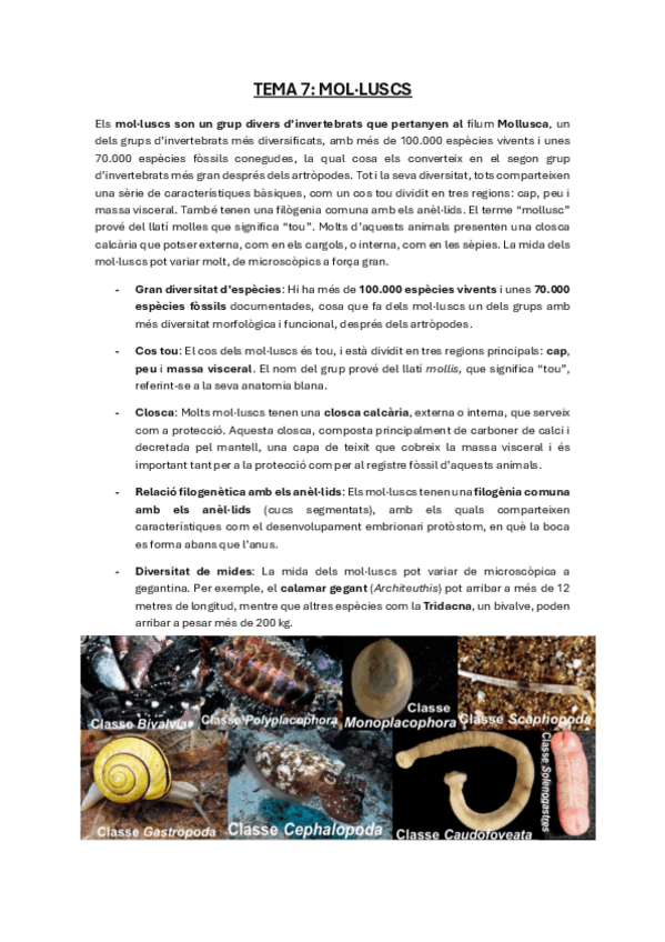 Miniatura del documento Molluscs.pdf