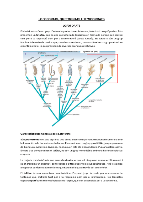 Miniatura del documento equinoderms.pdf