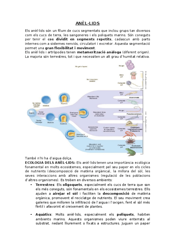 Miniatura del documento Anellids.docx
