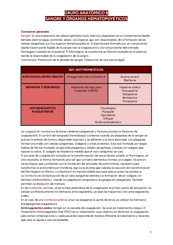 Miniatura del documento GRUPO-ANATOMICO-B-SANGRE.pdf