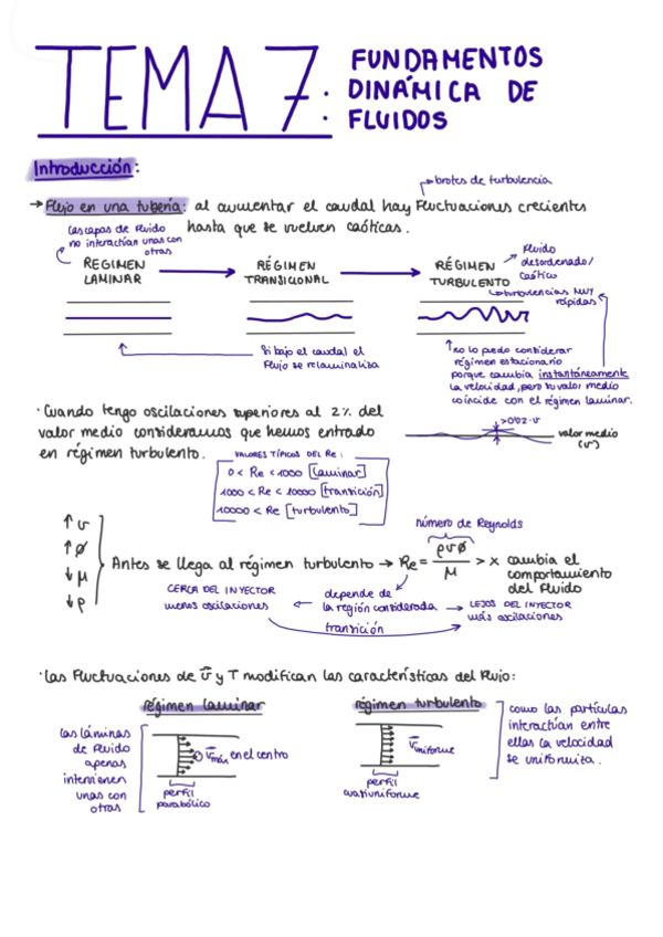 Miniatura del documento T7-Dinamica-de-fluidos.pdf