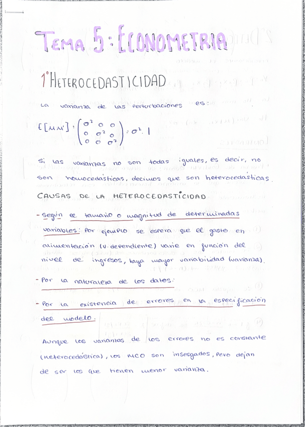 Miniatura del documento TEMA-5-HETEROCEDASTICIDAD.pdf