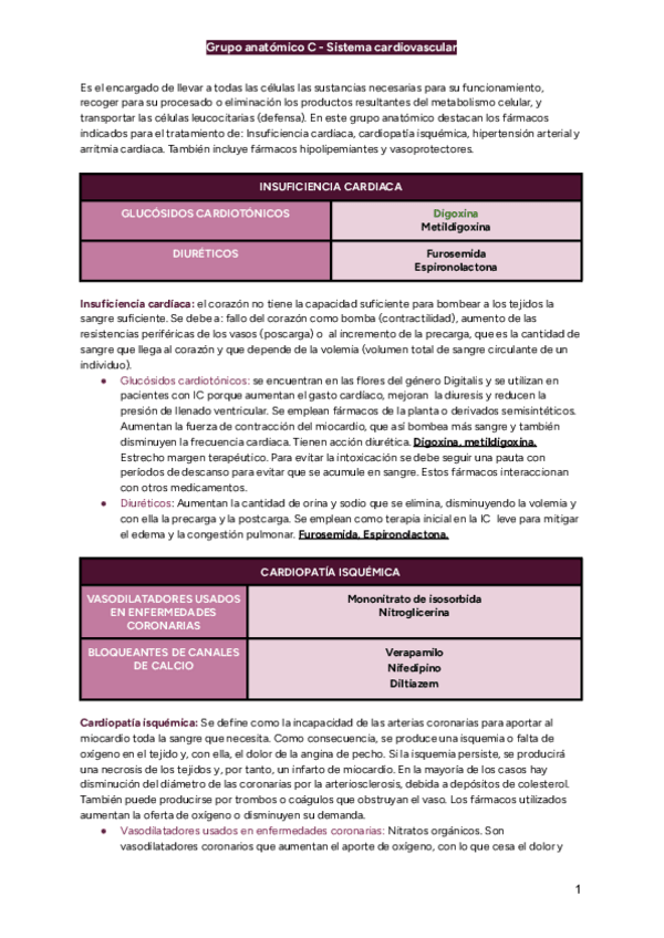 Miniatura del documento GRUPO-ANATOMICO-C-SISTEMA-CARDIOVASCULAR.pdf