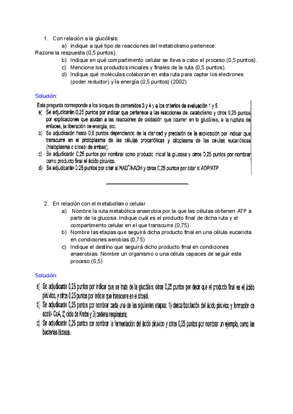 Miniatura del documento Metabolismo-ejers-selectividad.pdf