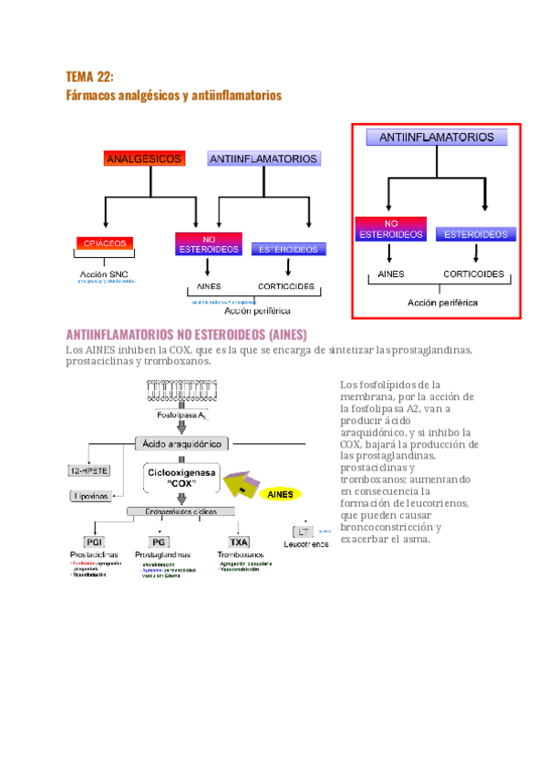 Miniatura del documento TEMA-22analgesicos-y-antiinflamatorios.pdf