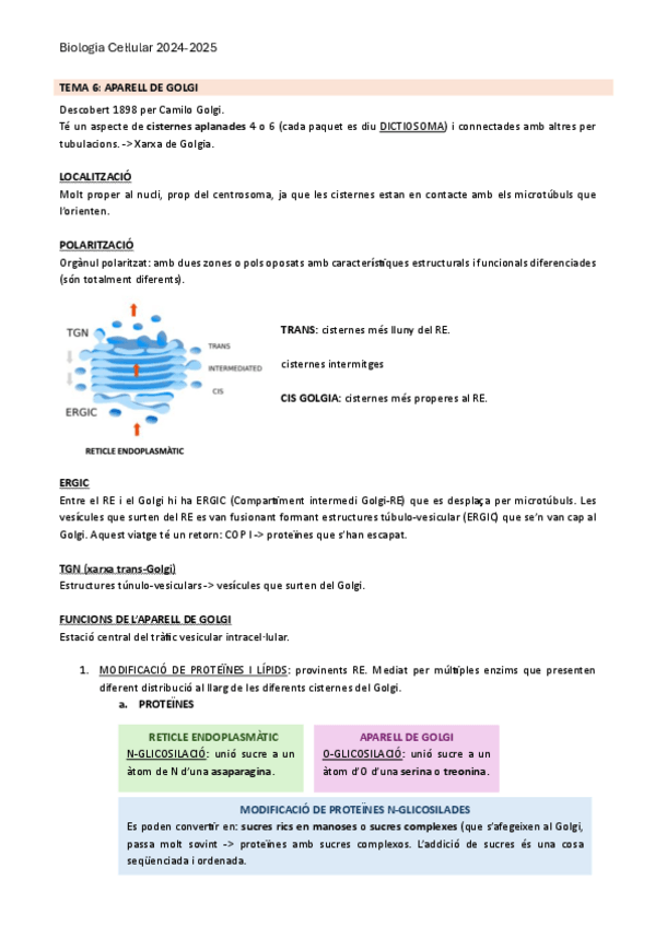 Miniatura del documento TEMA-6Aparell-de-Golgi.pdf