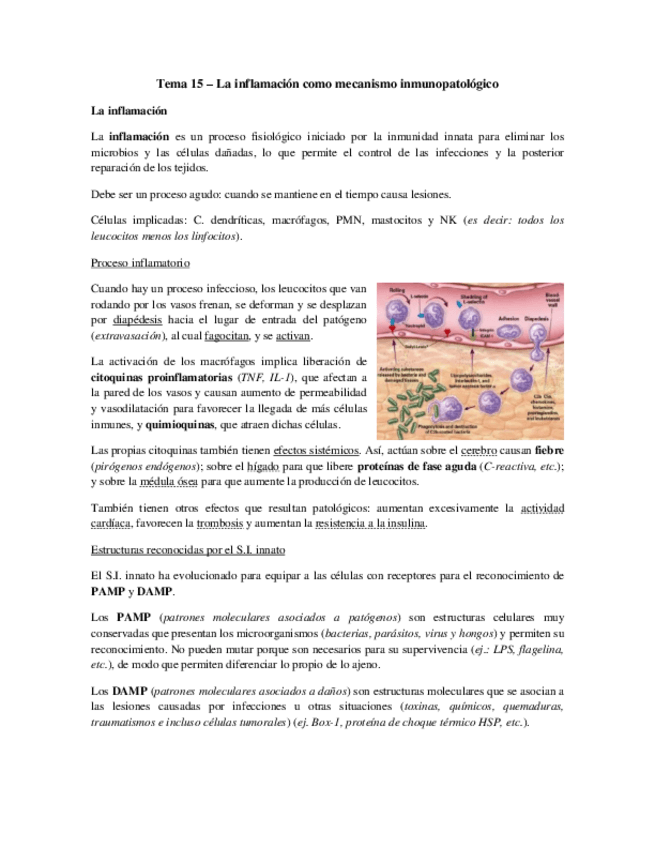 Miniatura del documento Tema 15 - La inflamación como patología.pdf