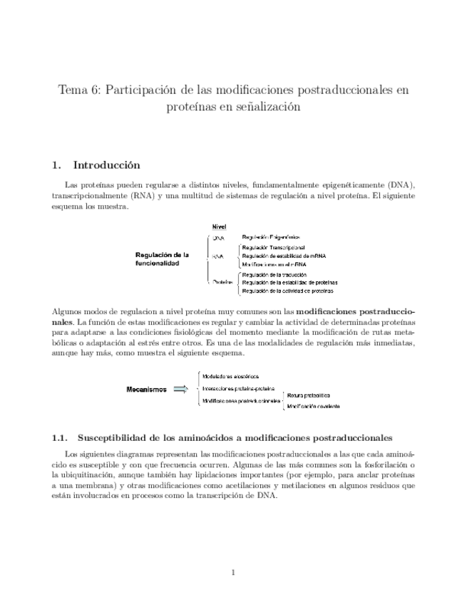 Miniatura del documento Tema-06-Participacion-de-las-modificaciones-postraduccionales-en-proteinas-en-senalizacion.pdf