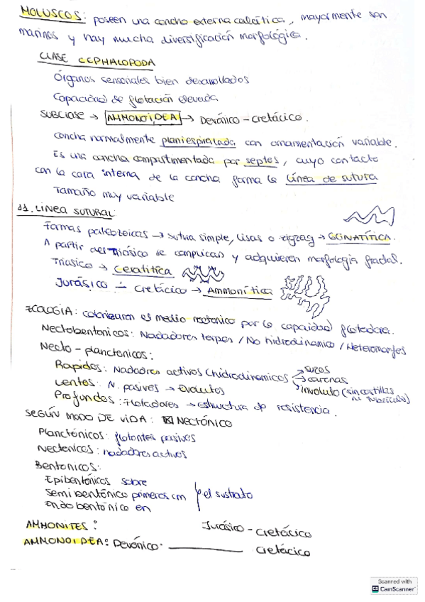 Miniatura del documento FOSILES-TRILOBITES-AMMONITES-Y-BRAQUIOPODOS.pdf