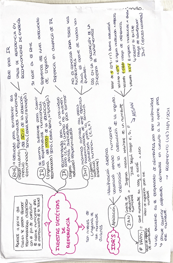 Miniatura del documento Ingestas-dieteticas-de-referencia.pdf