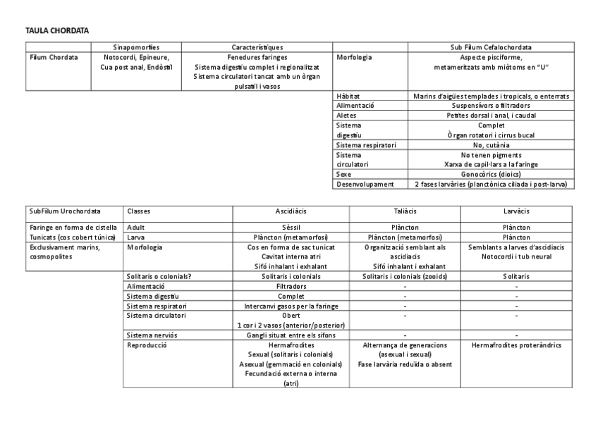 Miniatura del documento Taula-T11-Chordata.pdf