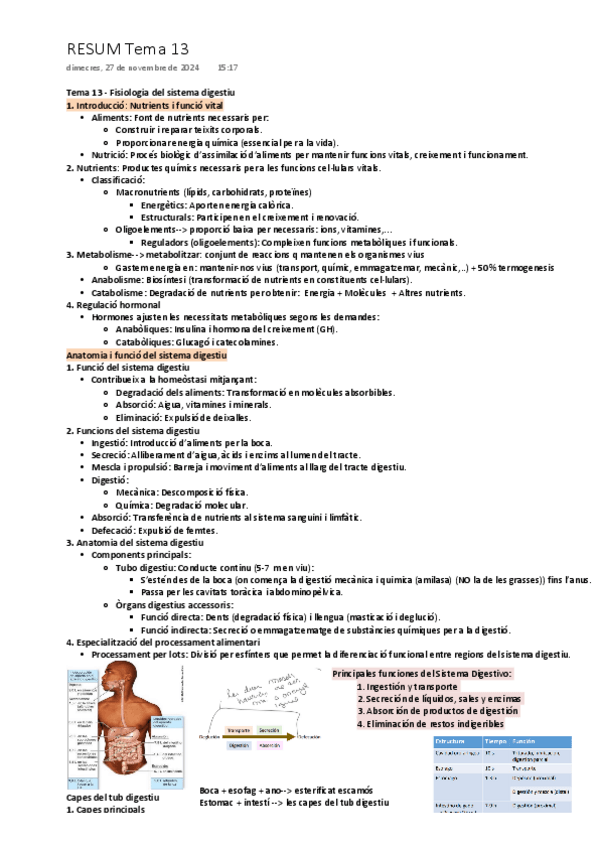 Miniatura del documento Tema-13-Fisiologia-del-sistema-digestiu.pdf