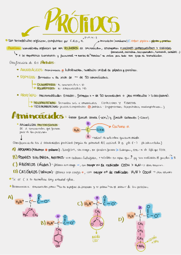 Miniatura del documento Protidos-T4.pdf