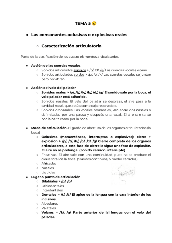 Miniatura del documento TEMA-5-CONSONANTES-OCLUSIVA-O-EXPLOSIVAS-ORALES.pdf