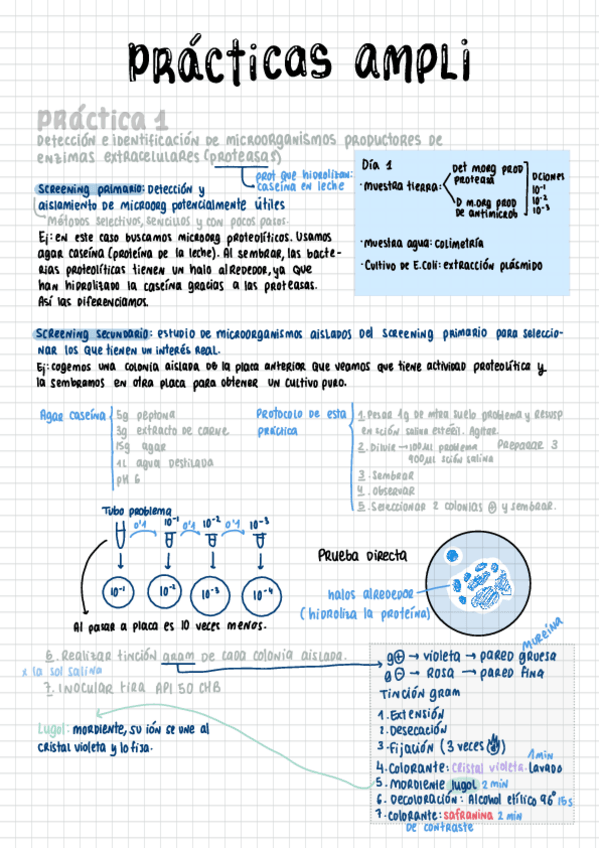 Miniatura del documento Practicas-Ampliacion-De-Microbiologia.pdf