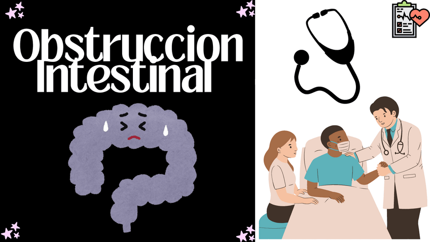 Miniatura del documento Obstruccion-Instestinal.pdf