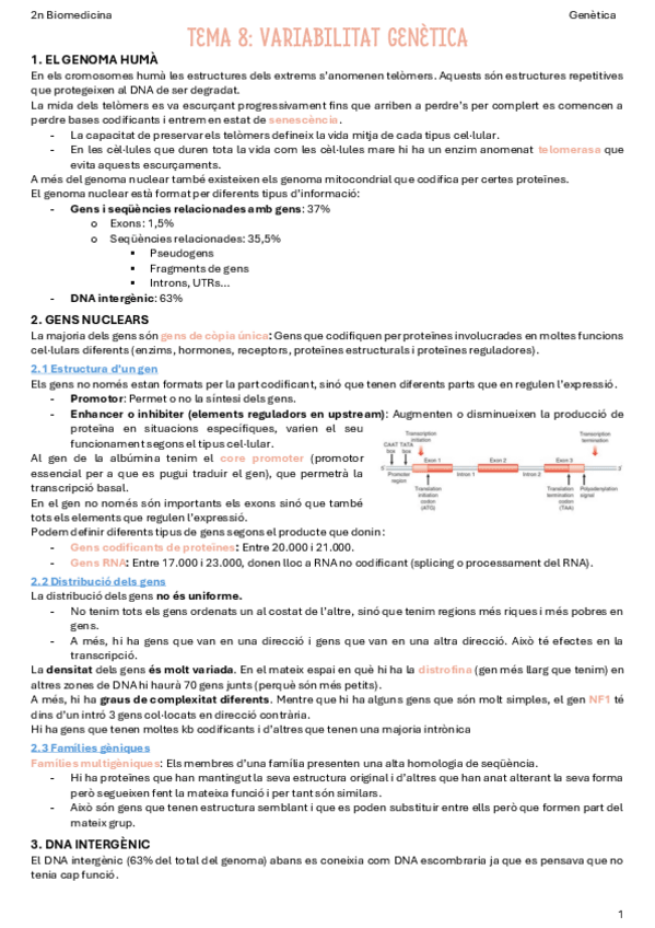 Miniatura del documento T8-Variabilitat-genetica.pdf