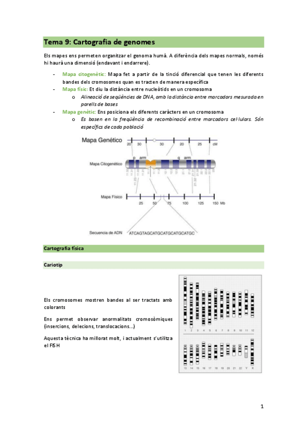 Miniatura del documento T9-GEN.pdf