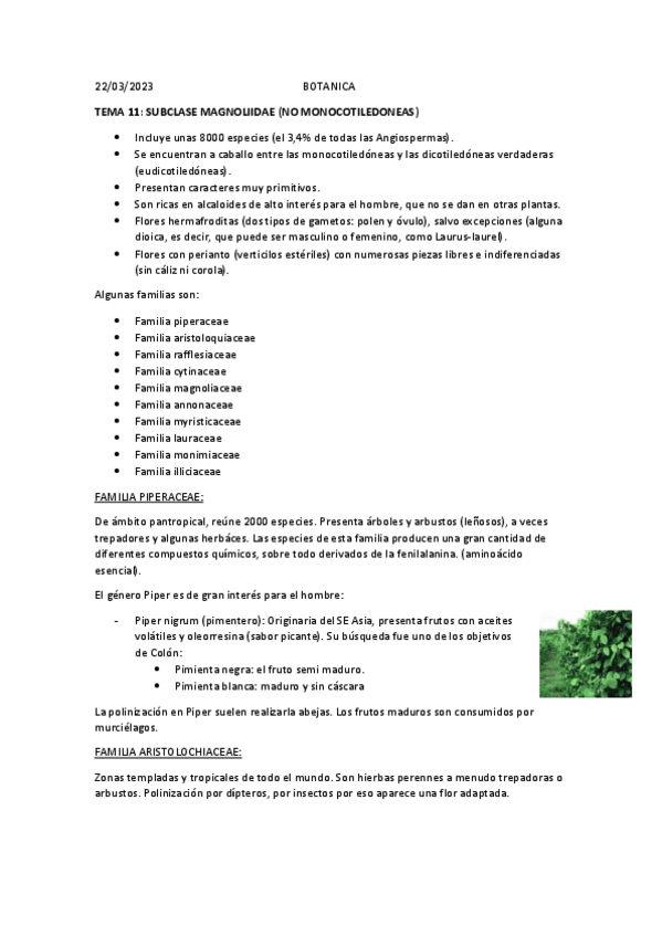 Miniatura del documento BOTANICA-TEMA-11.pdf