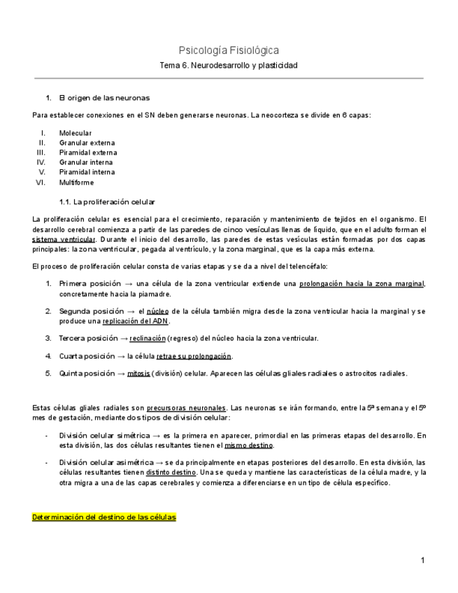 Miniatura del documento Tema-6-Fisiologica.pdf