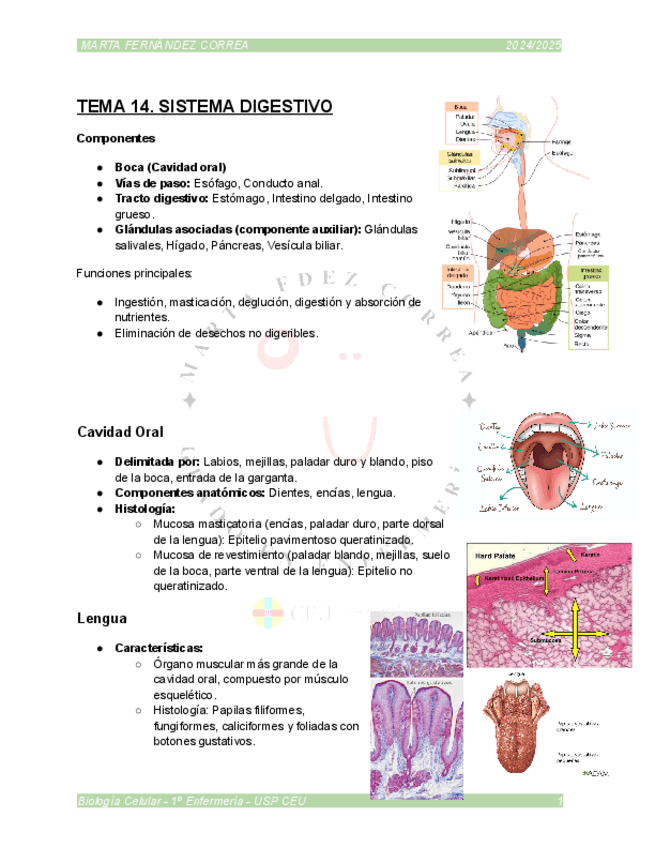 Miniatura del documento TEMA-14.pdf