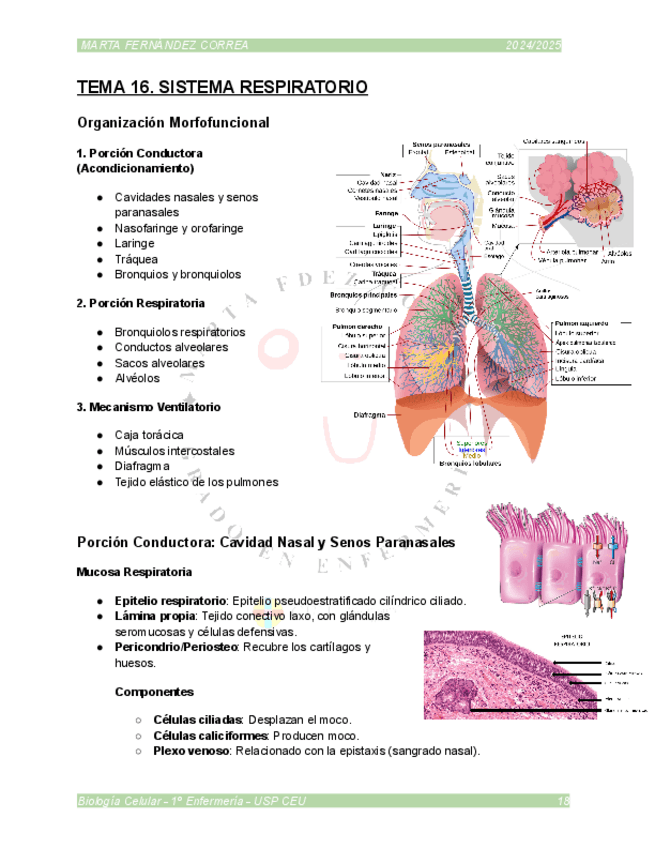 Miniatura del documento TEMA-16.pdf