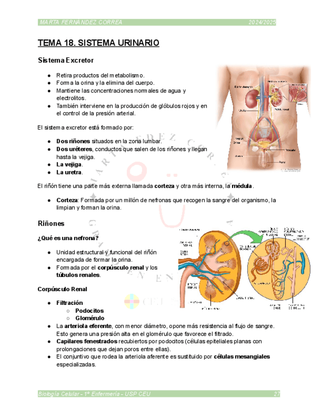 Miniatura del documento TEMA-18.pdf
