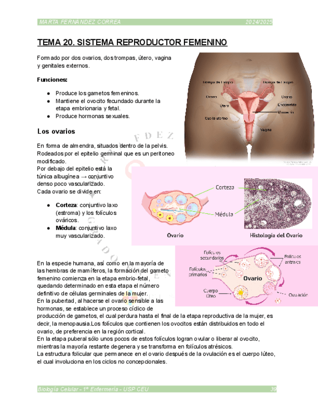 Miniatura del documento TEMA-20.pdf