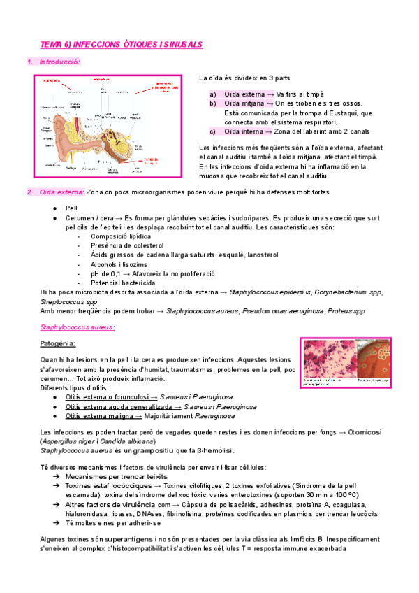Miniatura del documento tema-6-micro-clinica.pdf