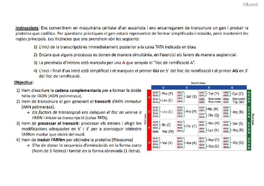 Miniatura del documento Traduccion-de-una-proteina.pdf