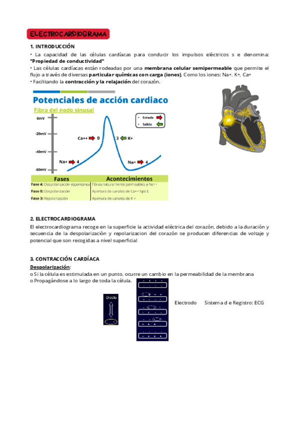 Miniatura del documento ELCTROCARDIOGRAMA.pdf
