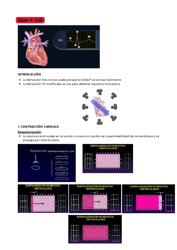 Miniatura del documento TEMA-4-ECG.pdf